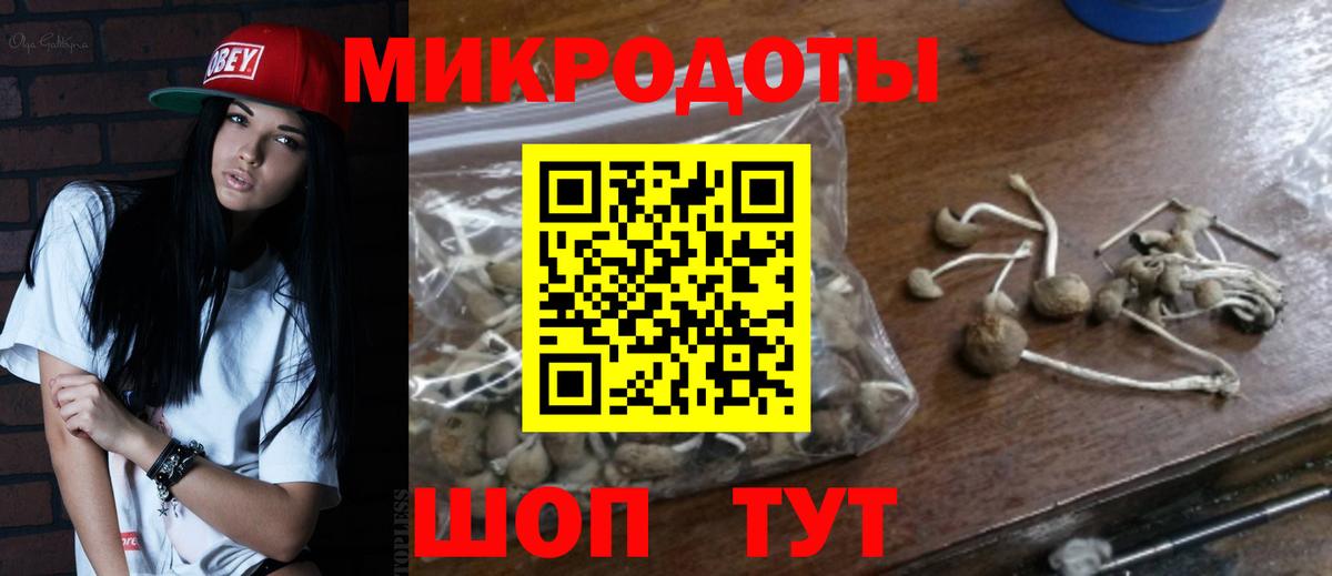 Псилоцибиновые грибы Psilocybine cubensis  Галлюциногенные грибы Cubensis  Вход с VPN  Ачинск 